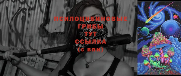 эйфоретик Туринск