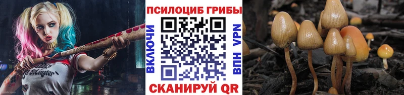 Галлюциногенные грибы MAGIC MUSHROOMS  Берёзовка 