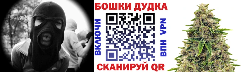 Канабис индика  закладка  Берёзовка 